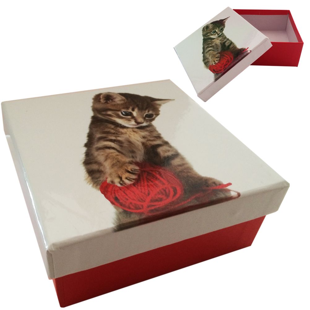 Kitten Cardboard box mod 4