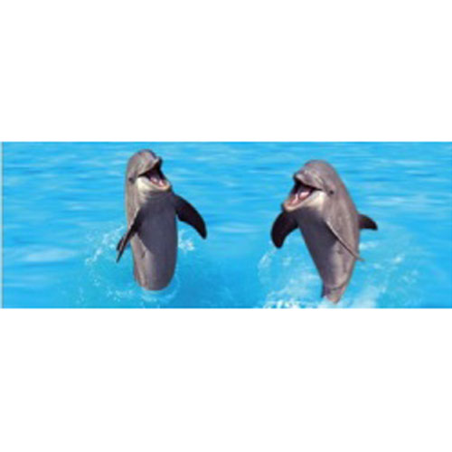 Bookmark Lenticular Dolphins