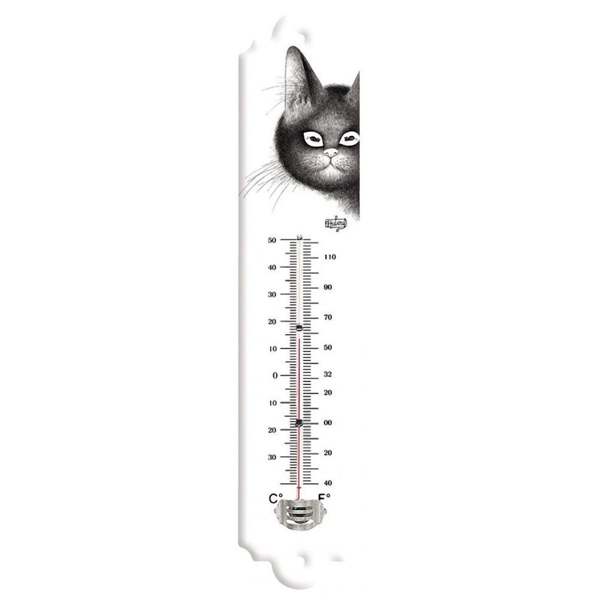 Dubout Cats thermometer