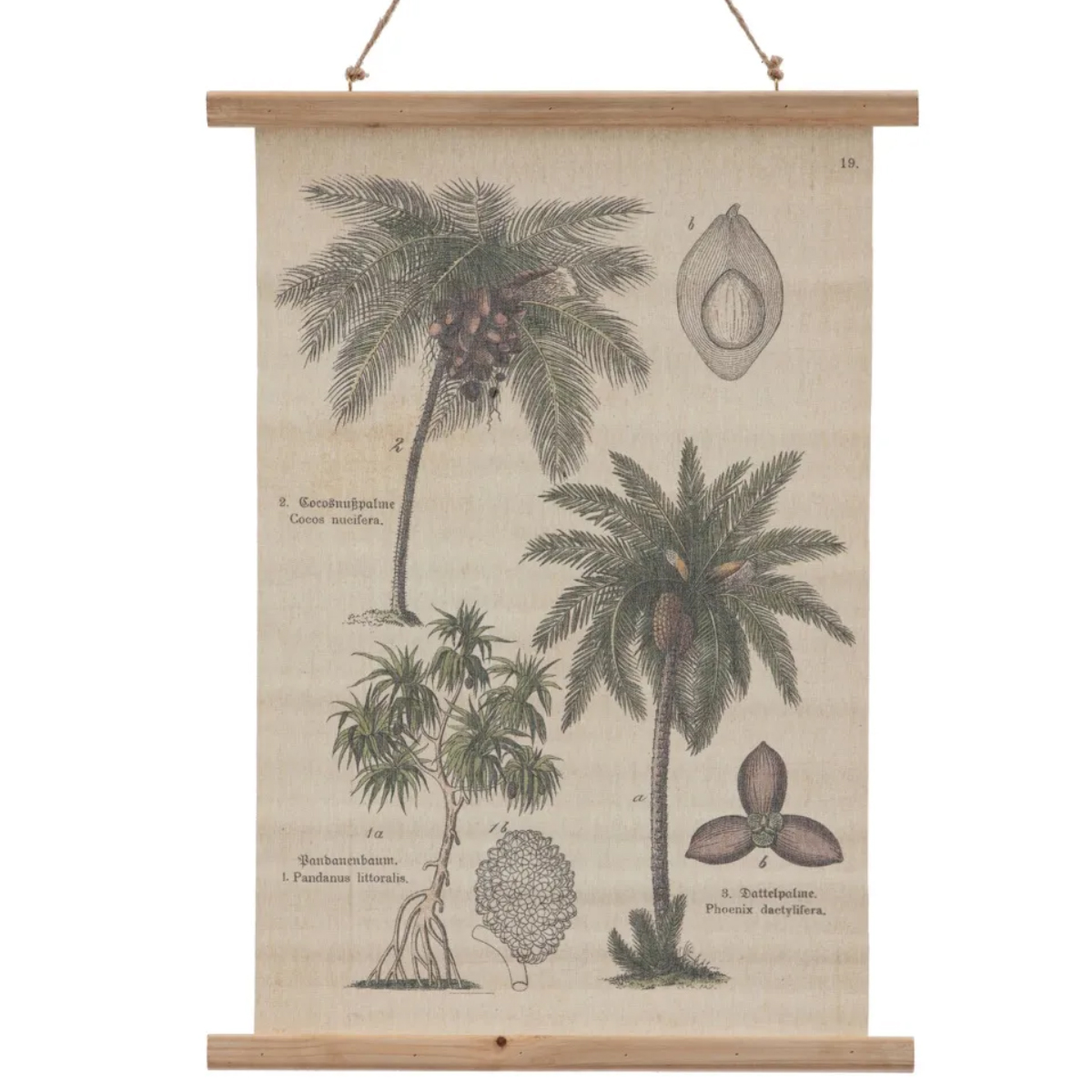 Decorative canvas palm tree for hanging
