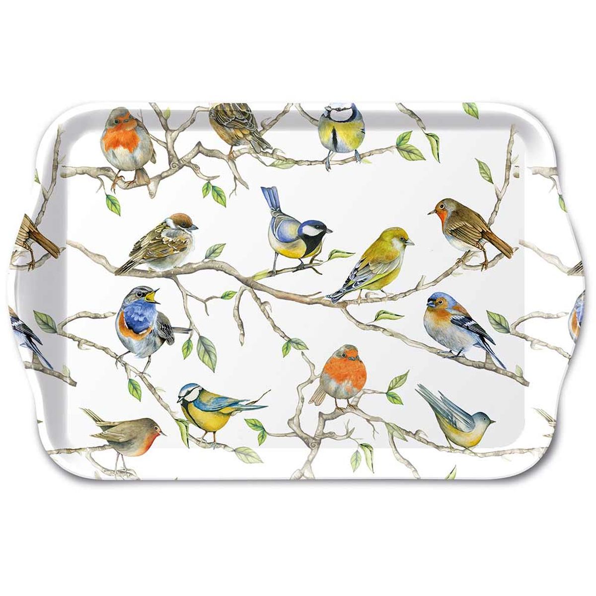 Birds Meeting - Mini rectangular tray