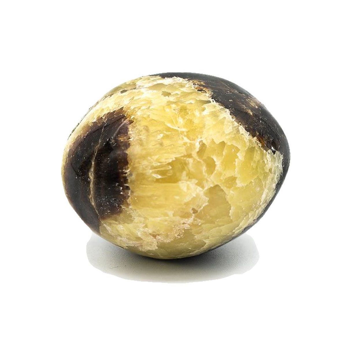 Stone Septarian - 60-70 grams