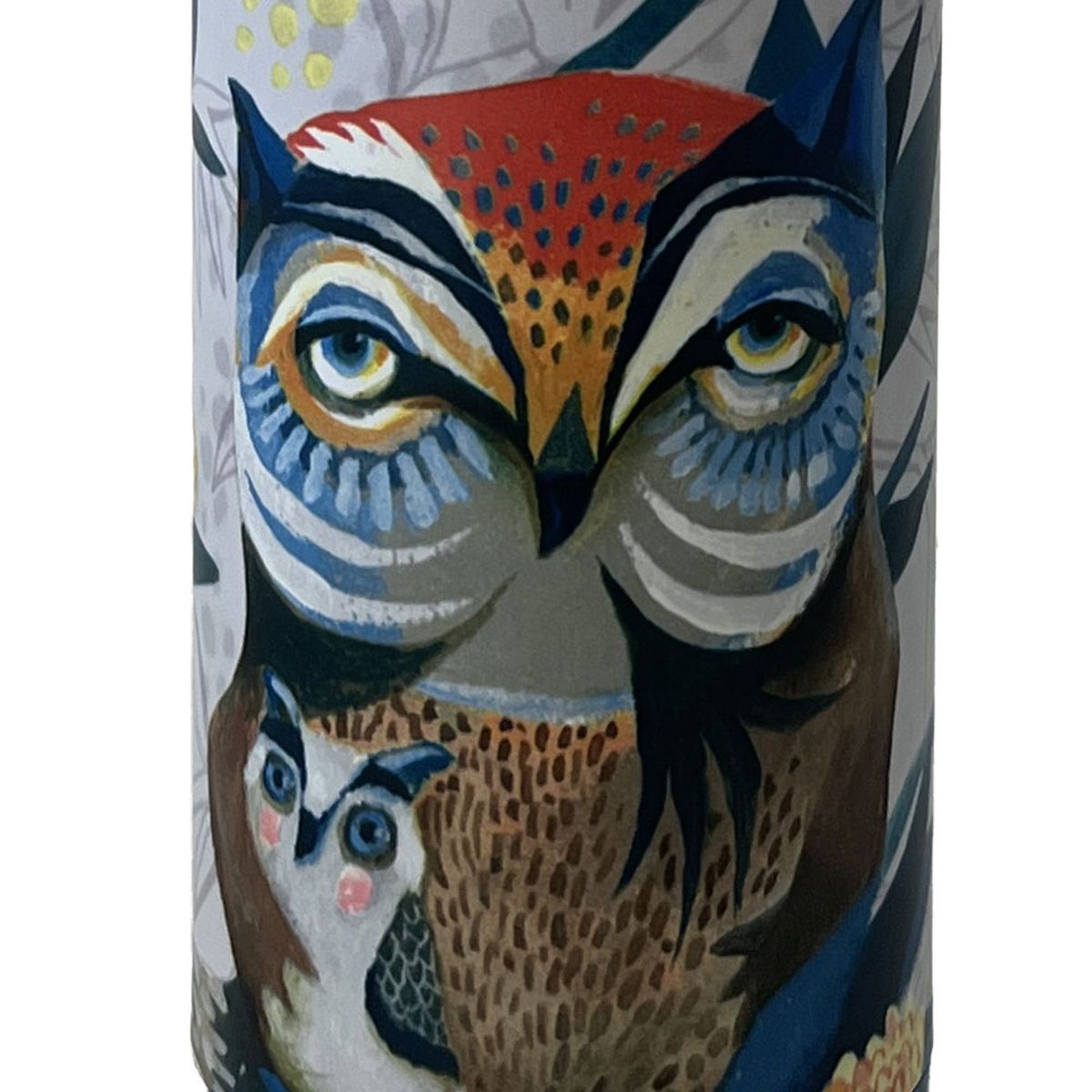 Owls isothermic stainless steel bottle By Allen