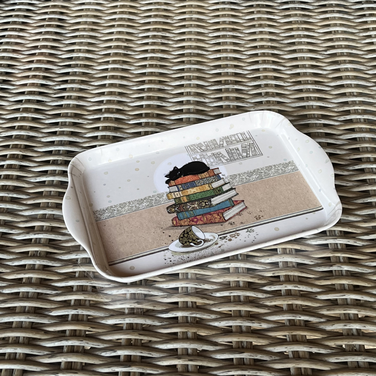 Mini rectangular kitten tray
