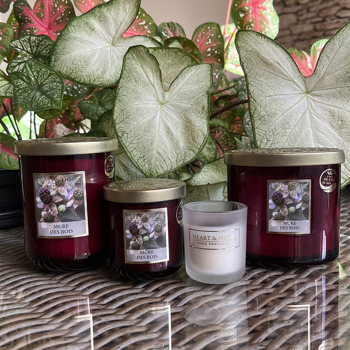 2 Wick Ellipse Candle Heart and Home - Mulberry