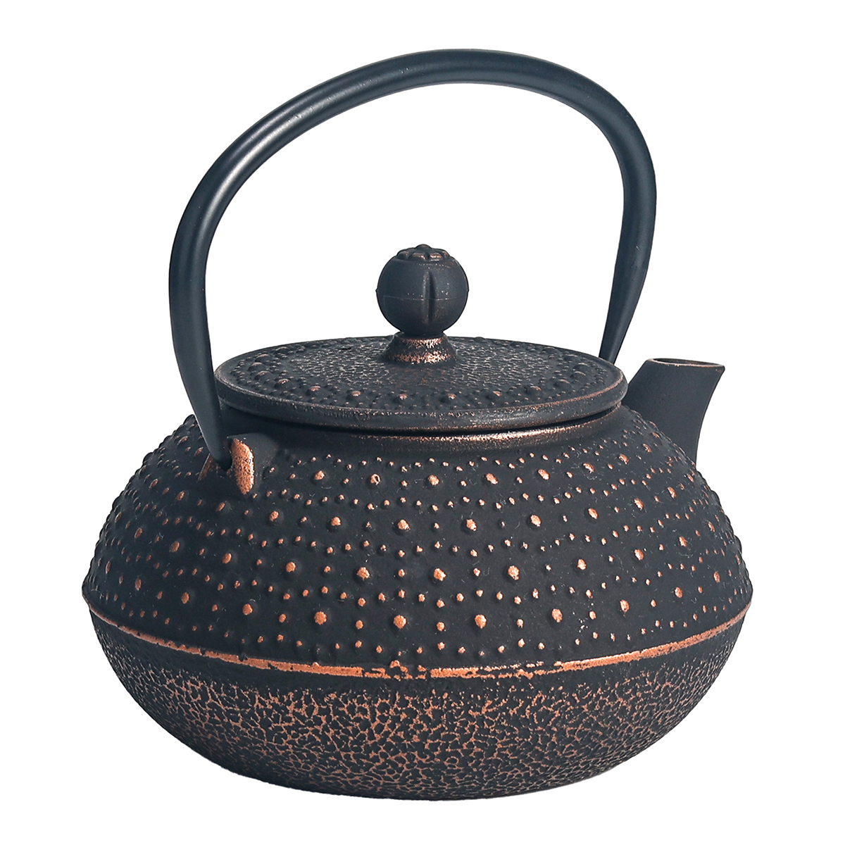 Japanese style cast iron teapot 0.8 liter