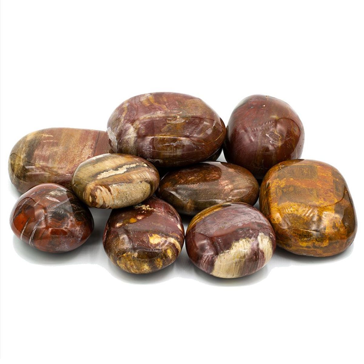 Stone petrified wood - 90-100 grams
