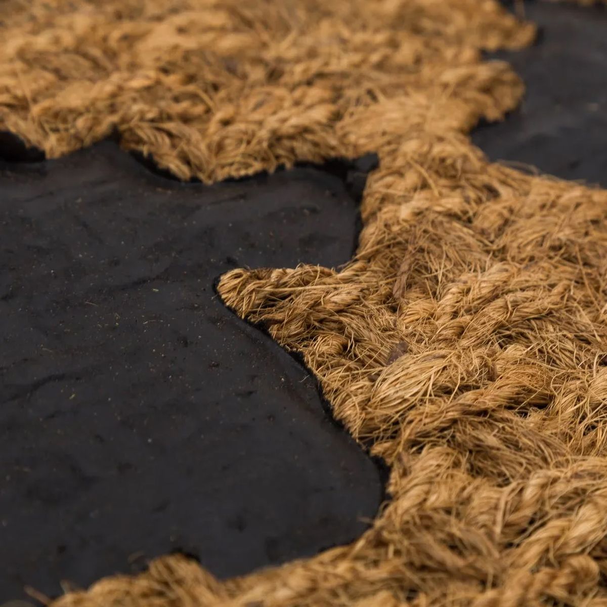 Coconut fibers Doormat - DOGS PANAMA - 60 cm