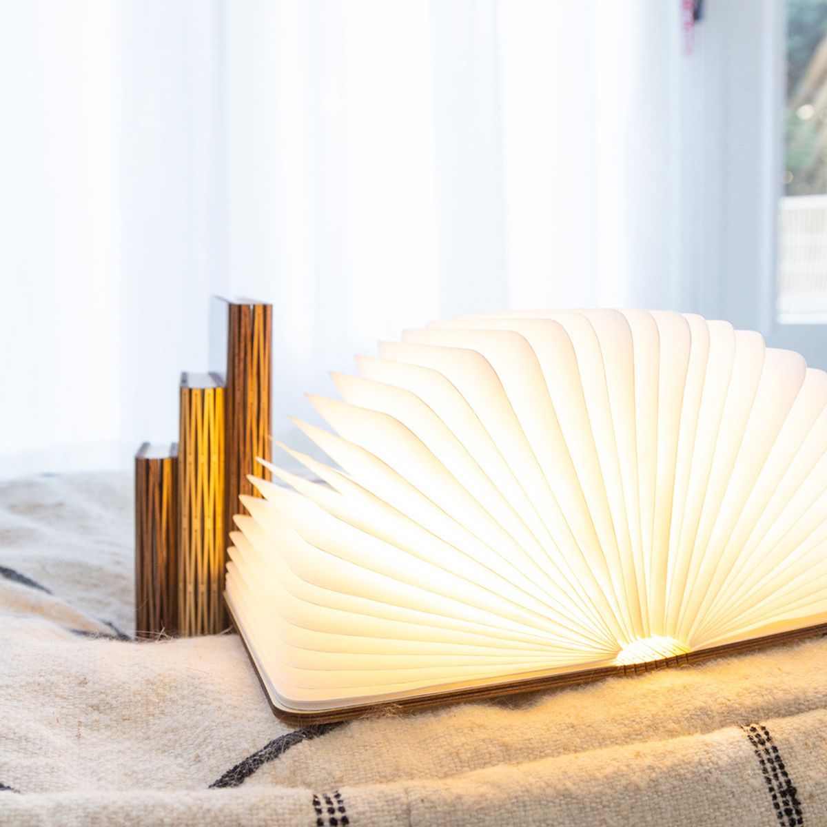 Book lamp in real wood - Maple - Size M