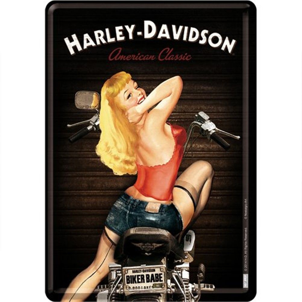 Harley Davidson small metal plate