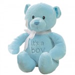 GUND my first Teddy bear Boy small blue