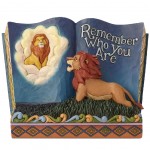 King Lion Remember who you are Storybook