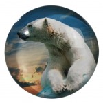 Polar bear Small round magnet