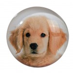 Golden Retriever puppy Small round magnet