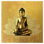 Zen Lotus Canvas frame 20 x 20 cm