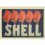 Shell Collection Large metal plate Deco