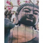 Buddha Canvas frame 50 x 40 cm