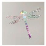 Luminous frame with color variations Dragonfly