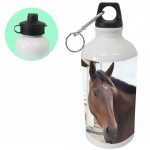 Brown Horse training bottle By CBKreation