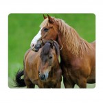 Brown Horse mouse pad