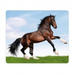 Horse mouse pad