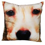 Dog Cushion