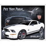 Ford Shelby GT500 metal plate Deco 40.5 x 21.5 cm