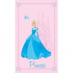 Disney Princess Cinderela Towel