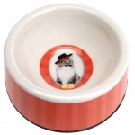 Cat Bowls - Senor Moustache