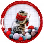 Marmot Dish cake 36 cm