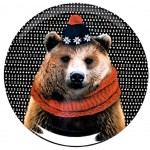 Bear Dish cake 36 cm