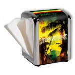 Jamaica paper towel dispenser