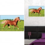 Horses Canvas frame
