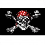 Pirate Flag 90 x 150 cm