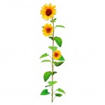 Sunflower Wall Sticker 66.3 x 17 cm