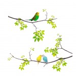 Quote Wall stickers 53 x 34 cm - parakeets
