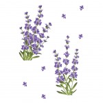 Lavender - wall sticker