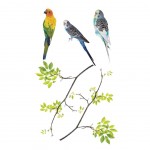 Window stickers birds