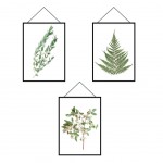 Herbarium frames wall sticker