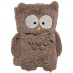 Owl Little Brown Cover