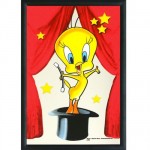 Magician Tweety mirror