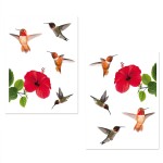 Window stickers Hibiscus and hummingbirds