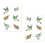 Window stickers birds