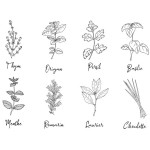Herbs wall stickers