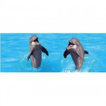 Bookmark Lenticular Dolphins
