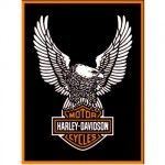 Harley Davidson eagle metal magnet