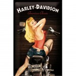 Harley Davidson Pin Up Metal plate 30 x 20 cm