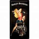 Harley Davidson Large metal plate Deco