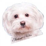 Dog Sticker notes
