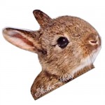 Rabbit Sticker notes